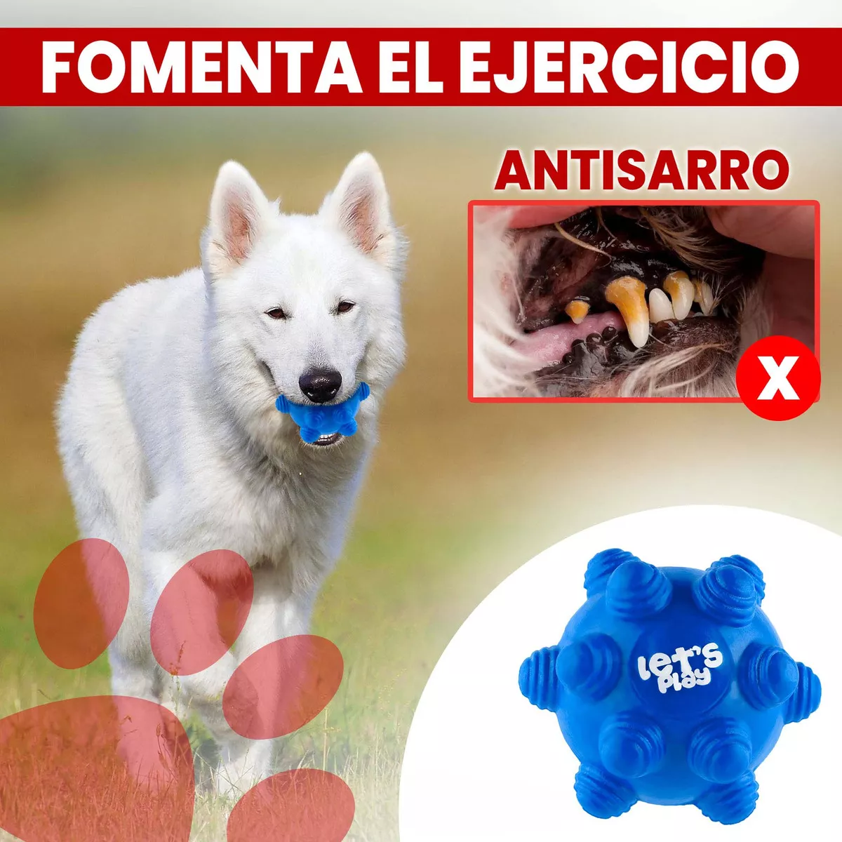 Juguete Pelota Maciza En Goma Rebote Único Y Loco Con Taches