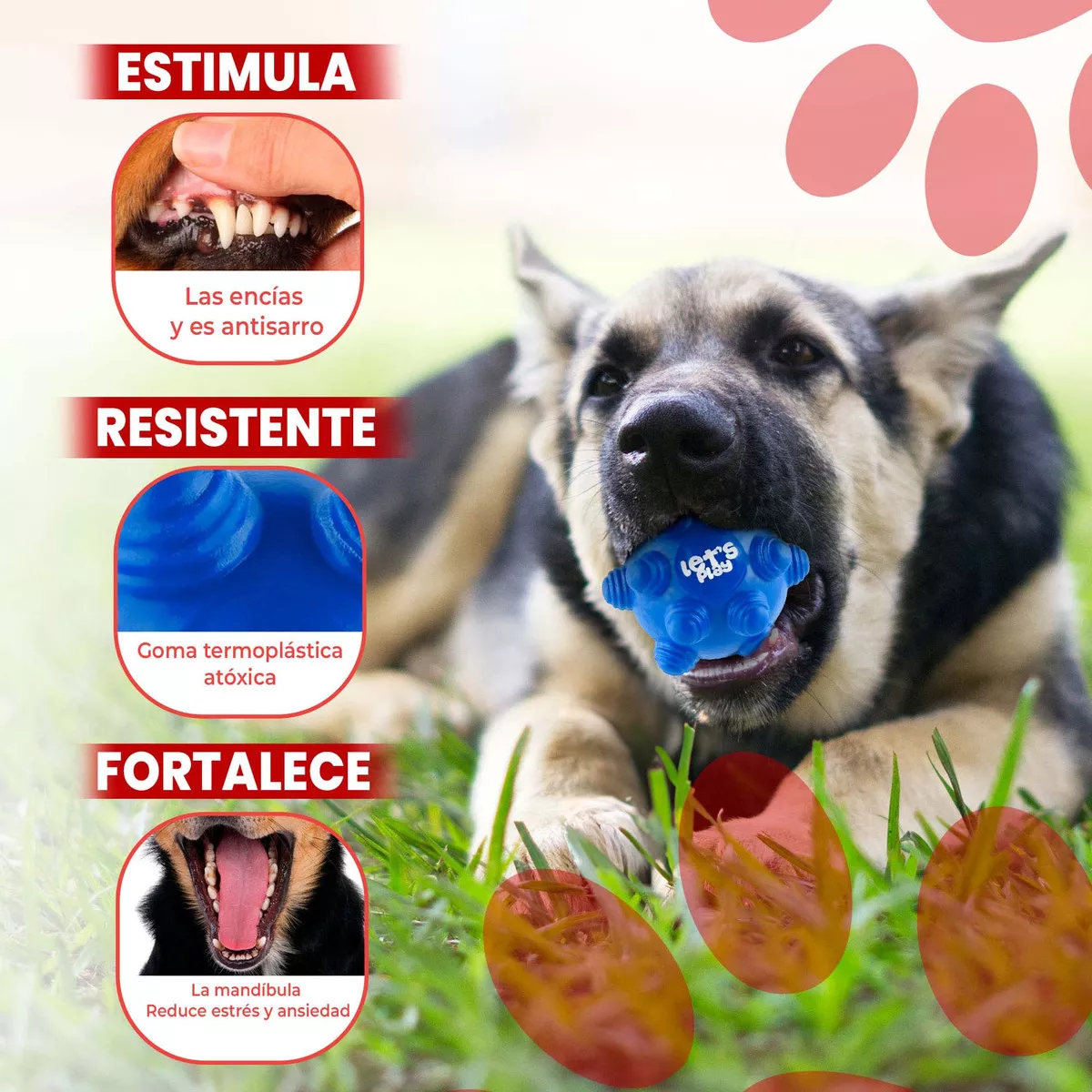 Juguete Pelota Maciza En Goma Rebote Único Y Loco Con Taches