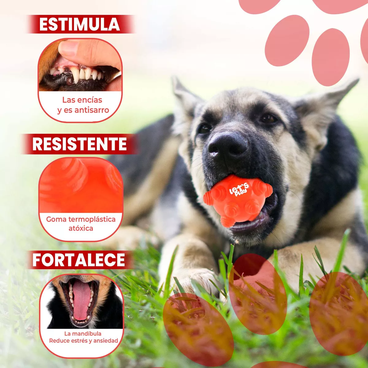 Juguete Pelota Maciza En Goma Rebote Único Y Loco Con Taches