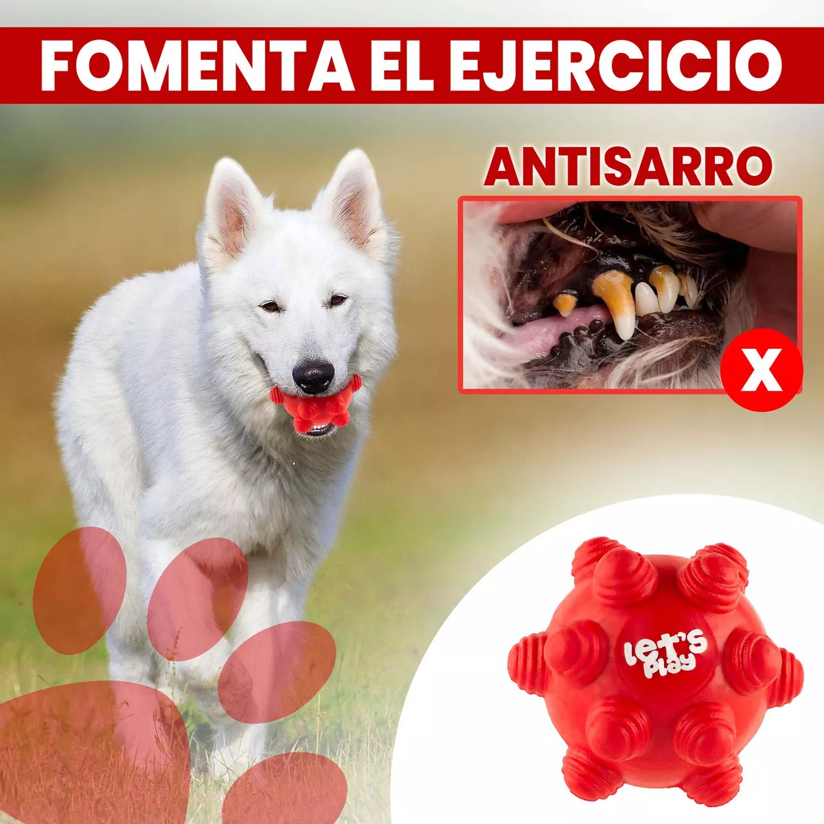 Juguete Pelota Maciza En Goma Rebote Único Y Loco Con Taches