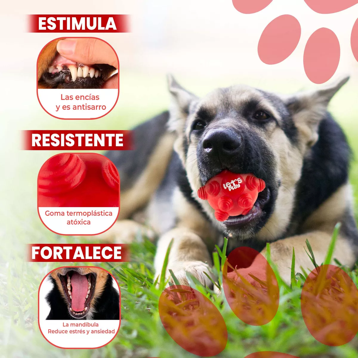 Juguete Pelota Maciza En Goma Rebote Único Y Loco Con Taches