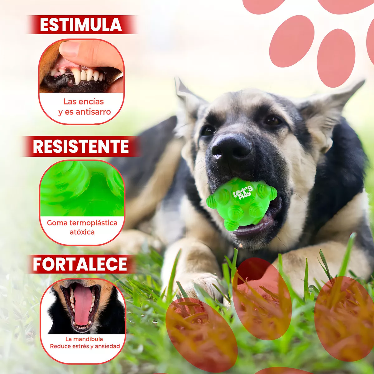 Juguete Pelota Maciza En Goma Rebote Único Y Loco Con Taches