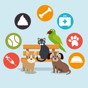 Mascotas